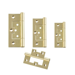 Elecro Brass Hirline Hinge